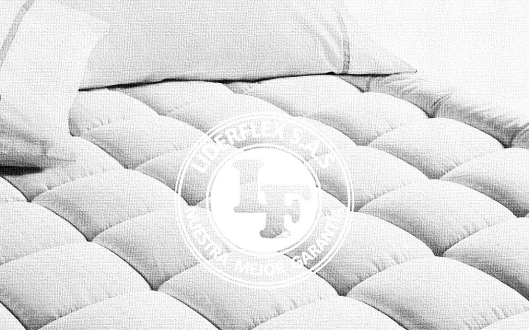 Suavizante Protector LiderLife